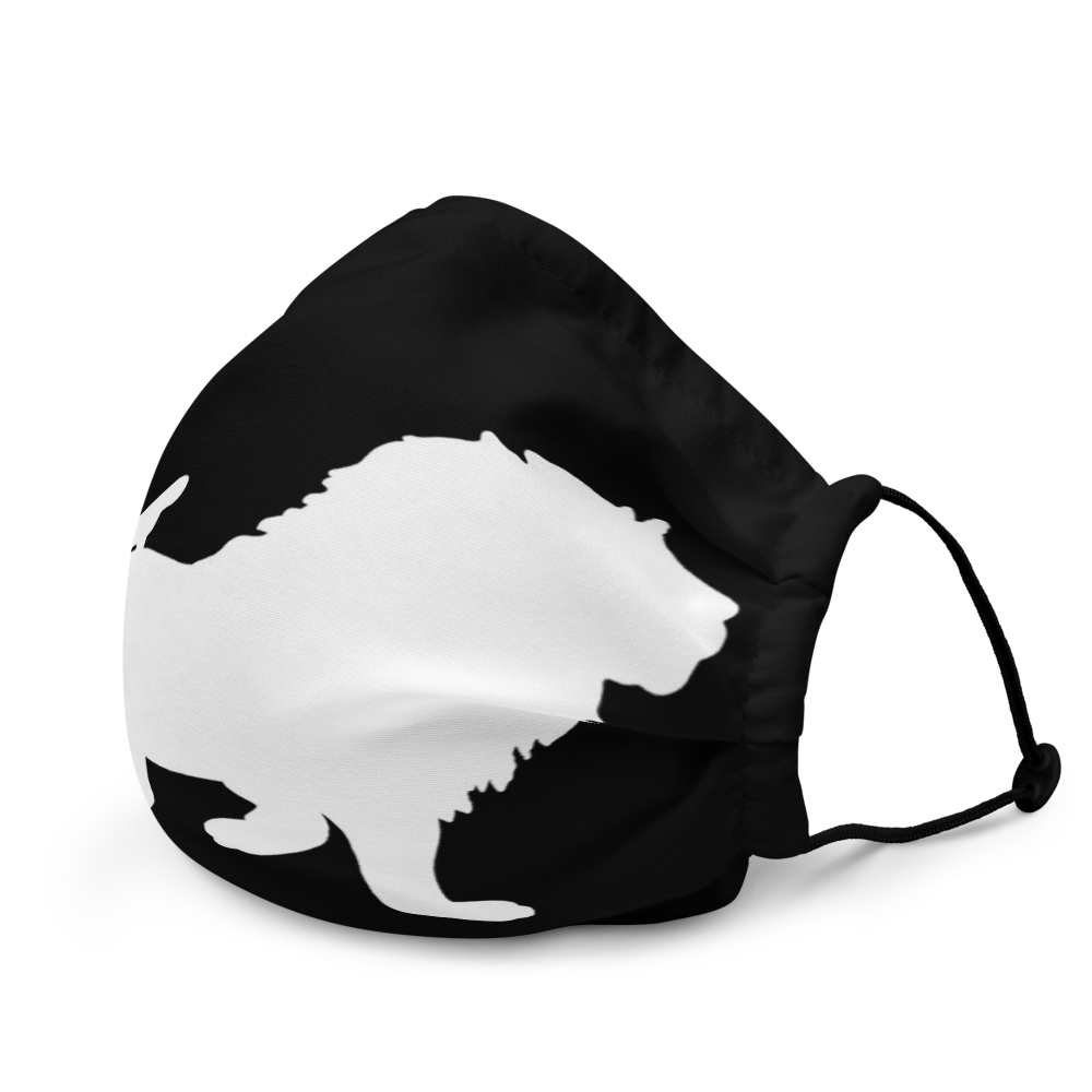 Lion 4 a Premium face mask