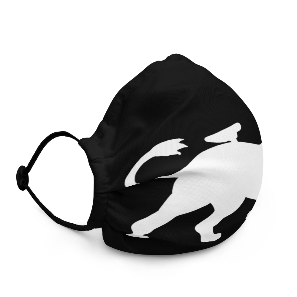 Lion 4 a Premium face mask