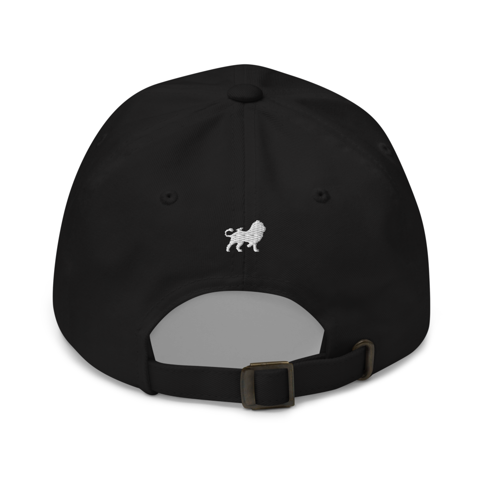 R4S (Stride) Dad hat