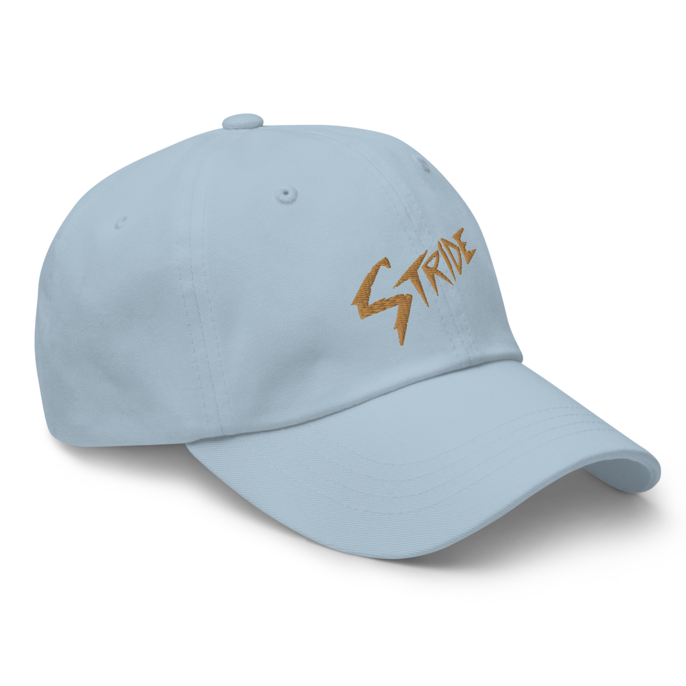 Stride Sandy Point Dad hat