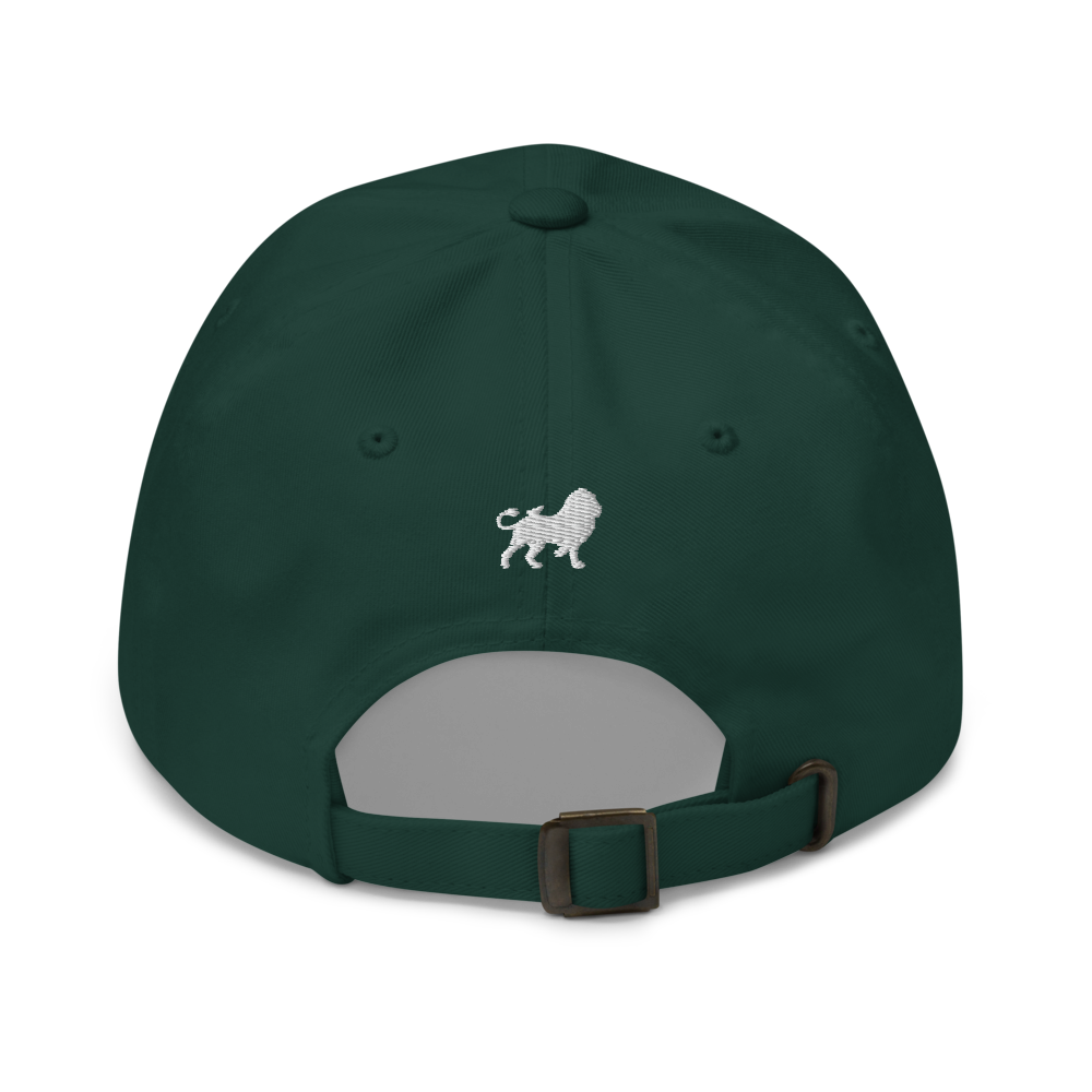 Stride Dad hat