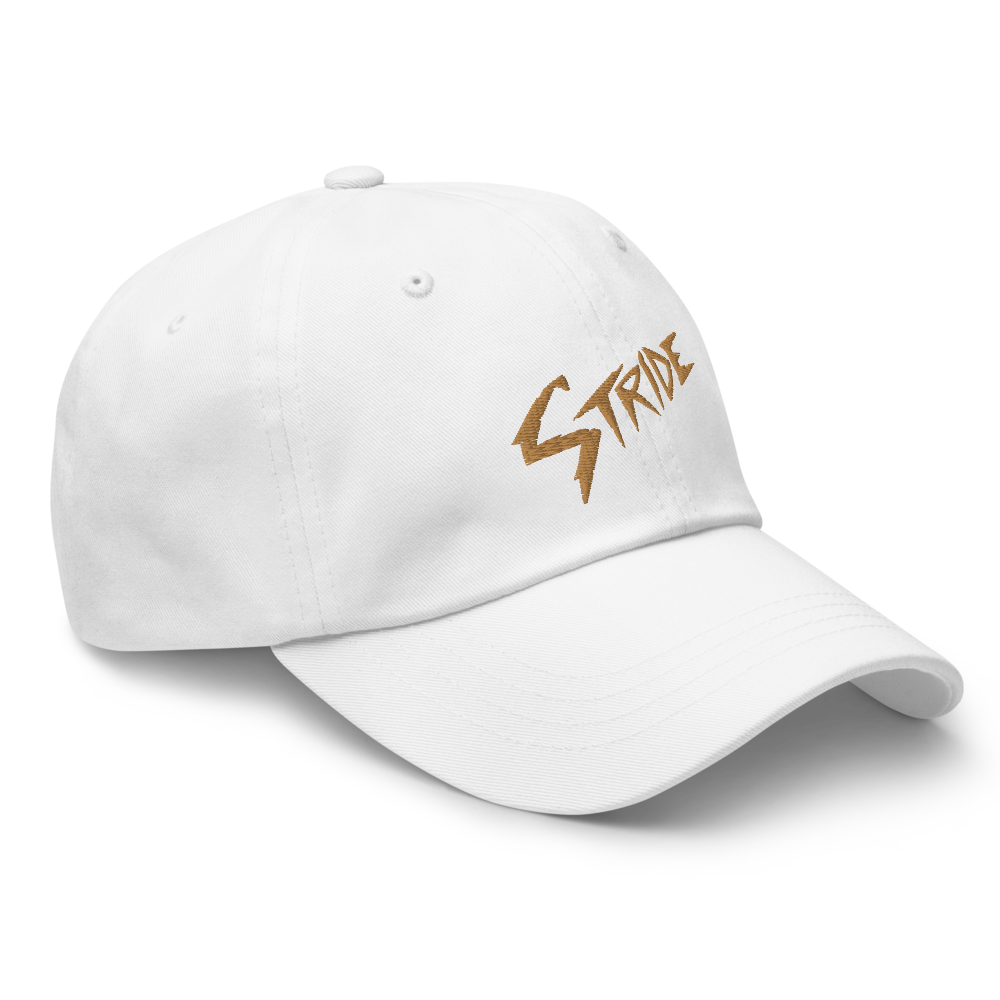 Stride Sandy Point Dad hat
