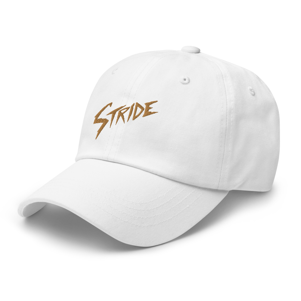 Stride Sandy Point Dad hat